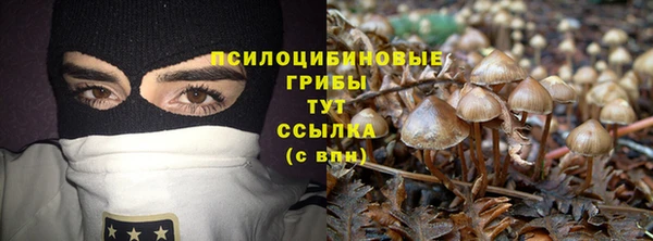 эйфоретик Алексин