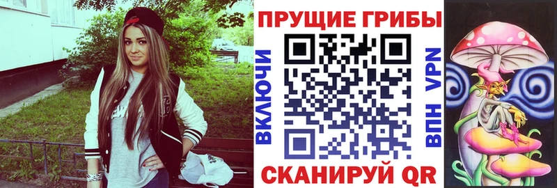 Галлюциногенные грибы MAGIC MUSHROOMS Куртамыш