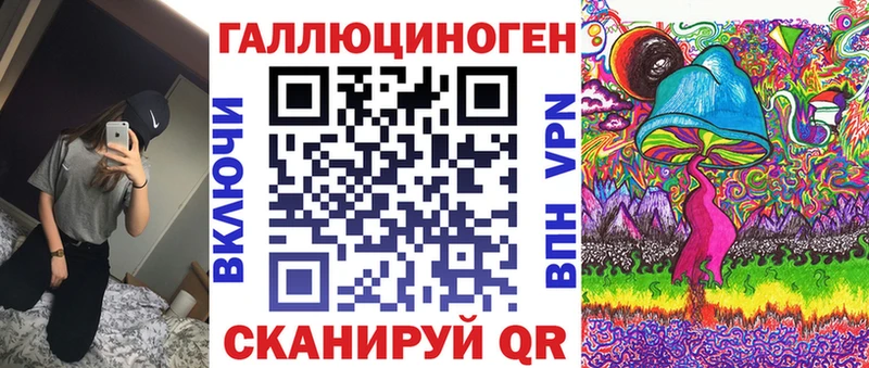 Галлюциногенные грибы Psilocybe Куртамыш